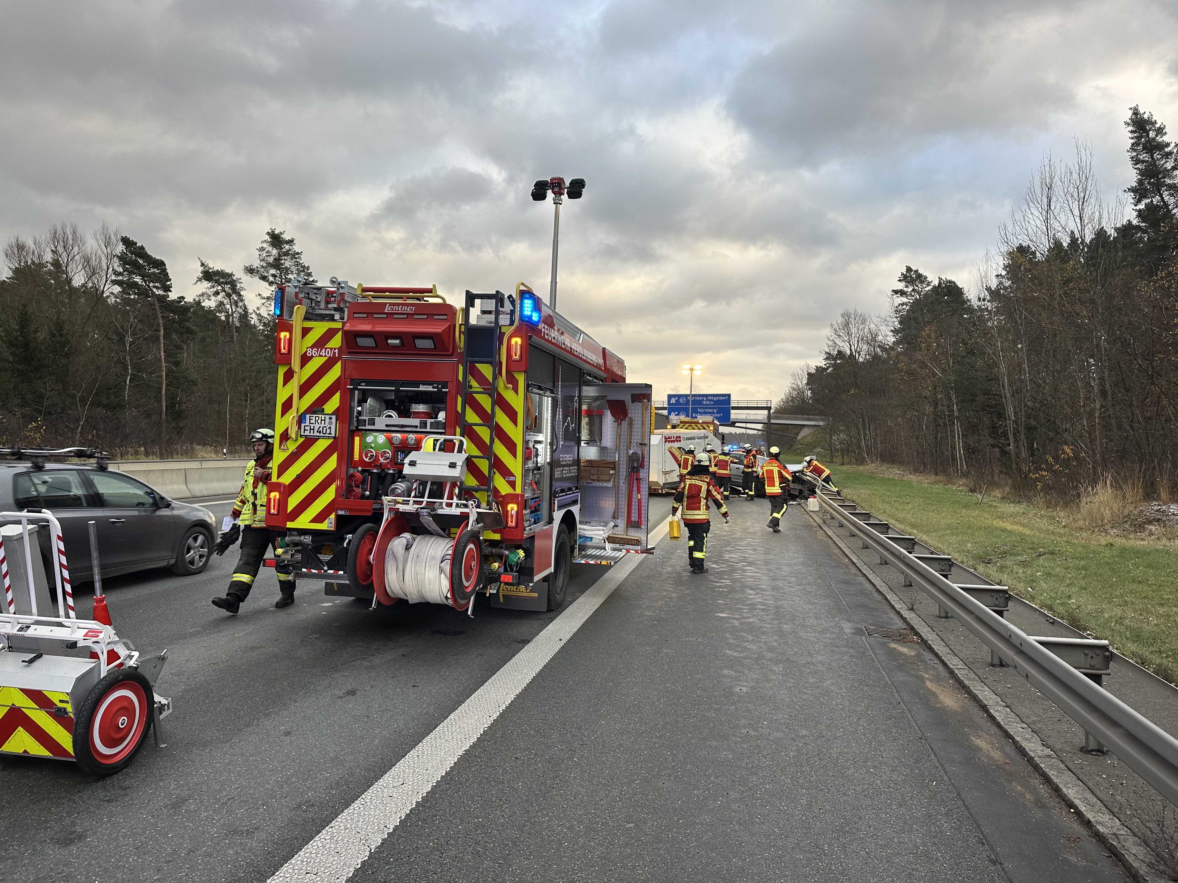 Delfino 2211242261.jpg